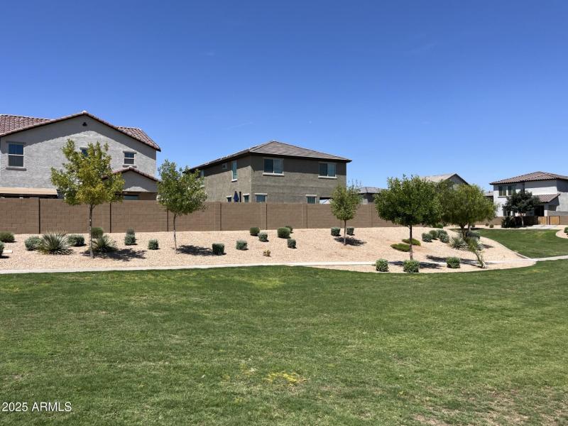 Greenbelt behind home