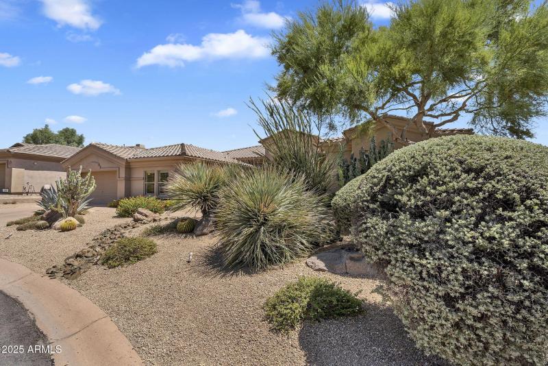 4-web-or-mls-99th-03