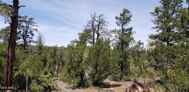 Resized_Screenshot_20250722_120805_Outlo