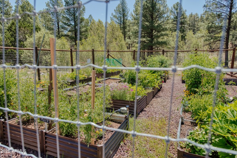 Adjacent to Community Garden