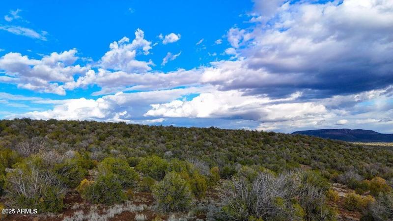 20250617194825315679000000-o