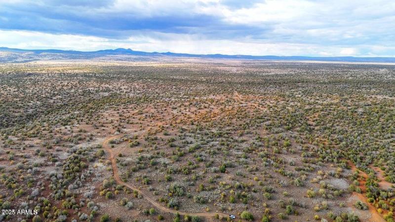 20250617194801340676000000-o