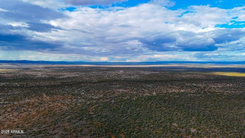 20250617194746476977000000-o