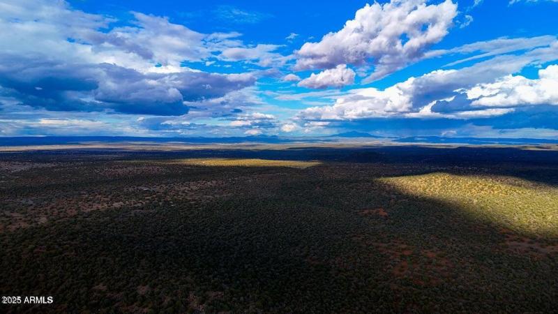 20250617194745194355000000-o