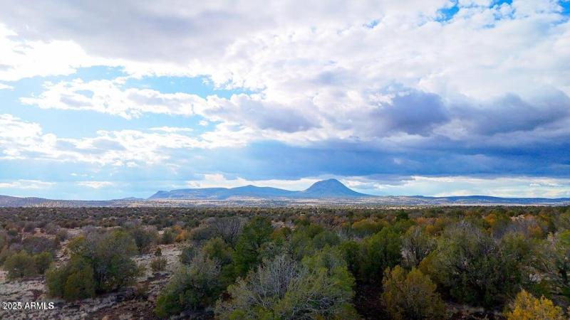 20250617194818669875000000-o