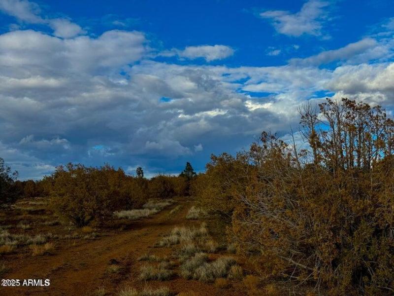 20250617194839673186000000-o