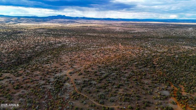 20250617194737607371000000-o