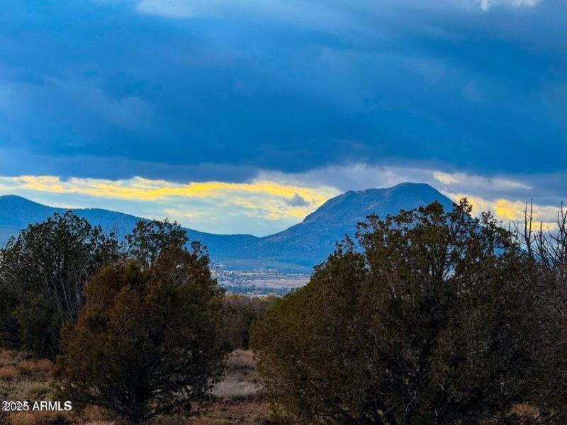 20250617194826824681000000-o