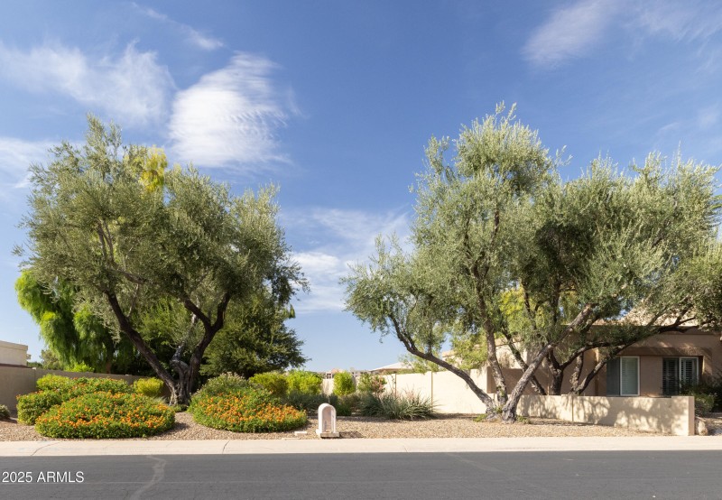 4401 E Cortez ST, Phoenix, AZ 85028 3