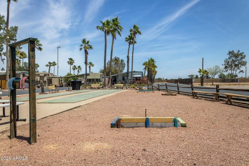 Safari MHP Horse Shoes