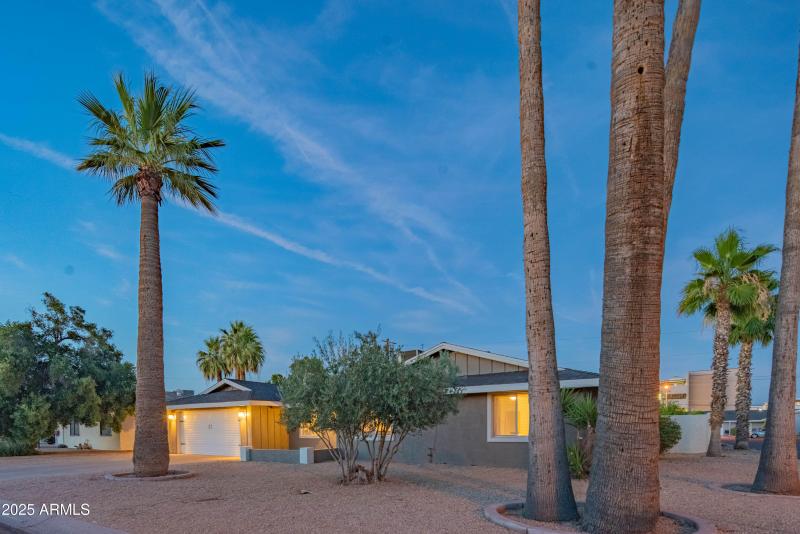 craigrootimaging_70-49