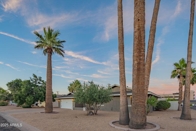 craigrootimaging_70-53