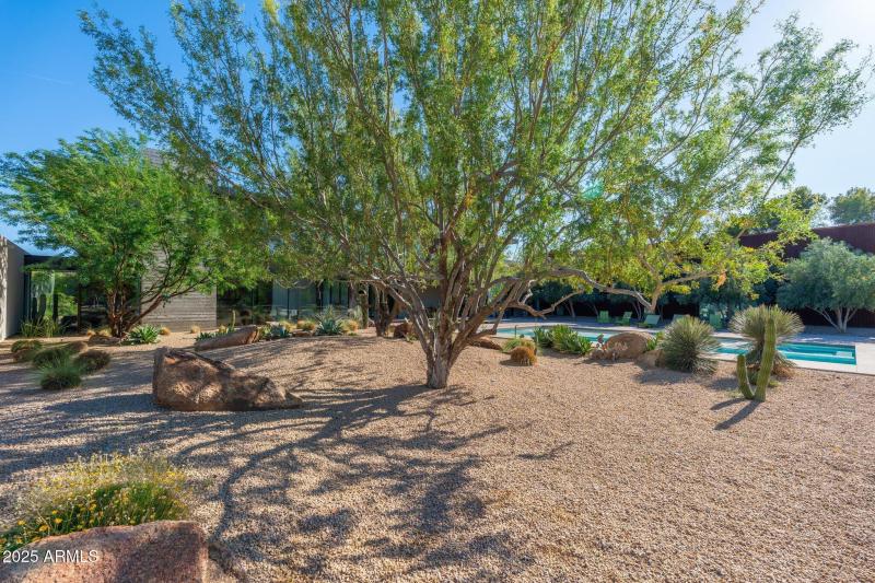 Welcome to the Desert