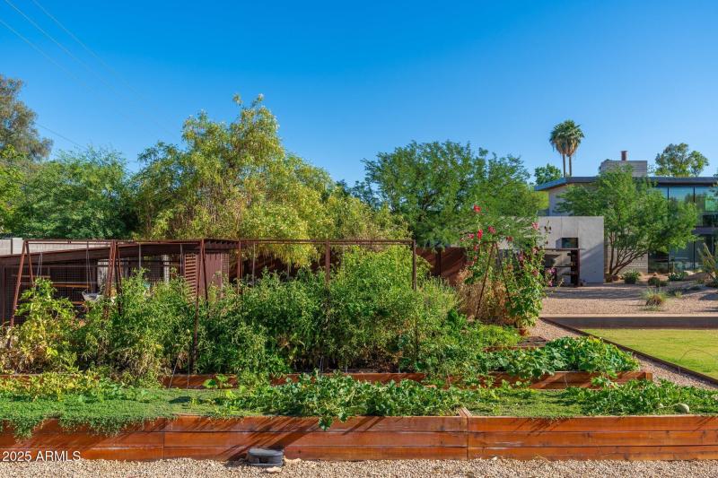 Daily Eggs & Veggies!