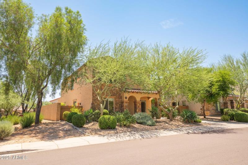 DSC01008-Enhanced-NR