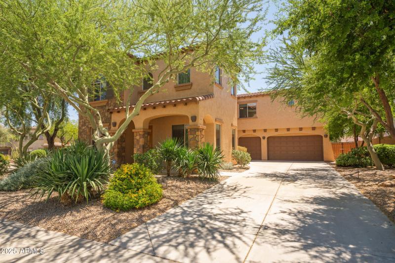 DSC01014-Enhanced-NR