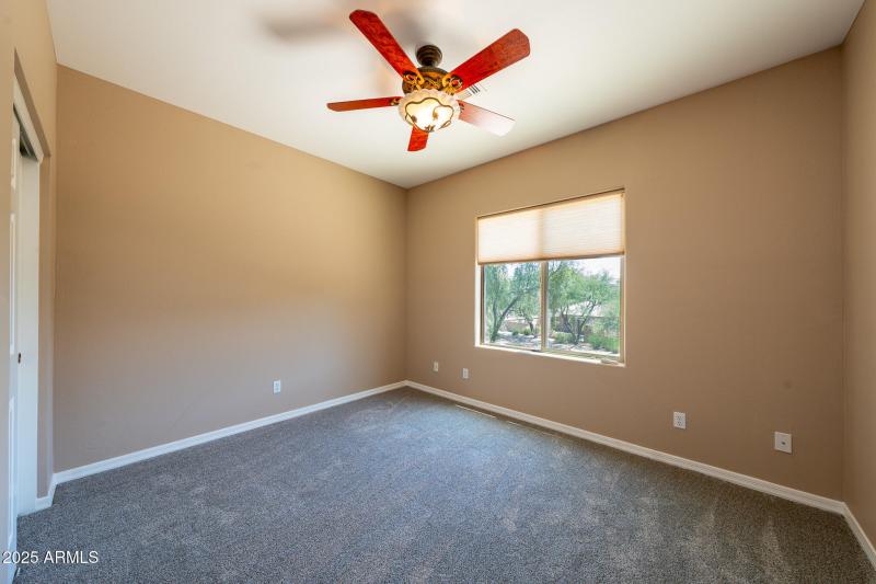 DSC01162-Enhanced-NR