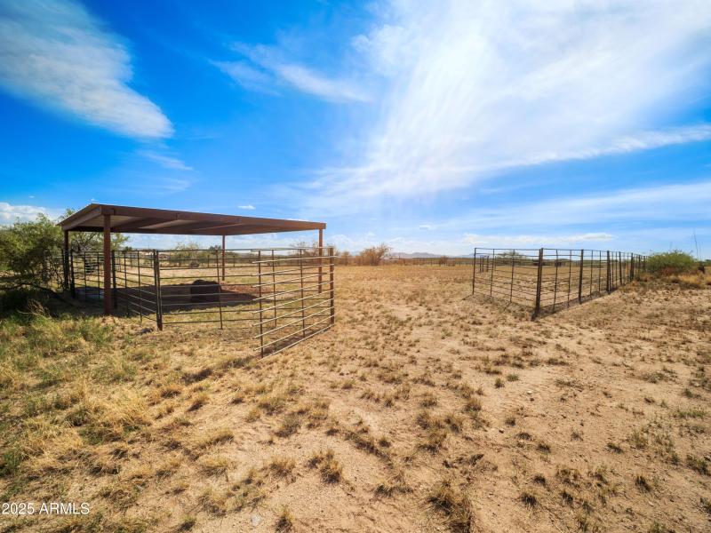 Entrance to Open Arena
