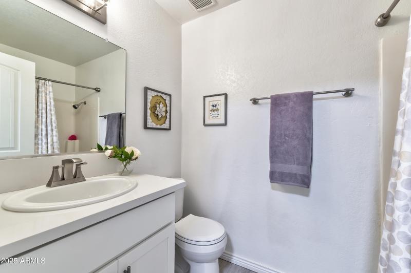 Shoshone Interior - 18