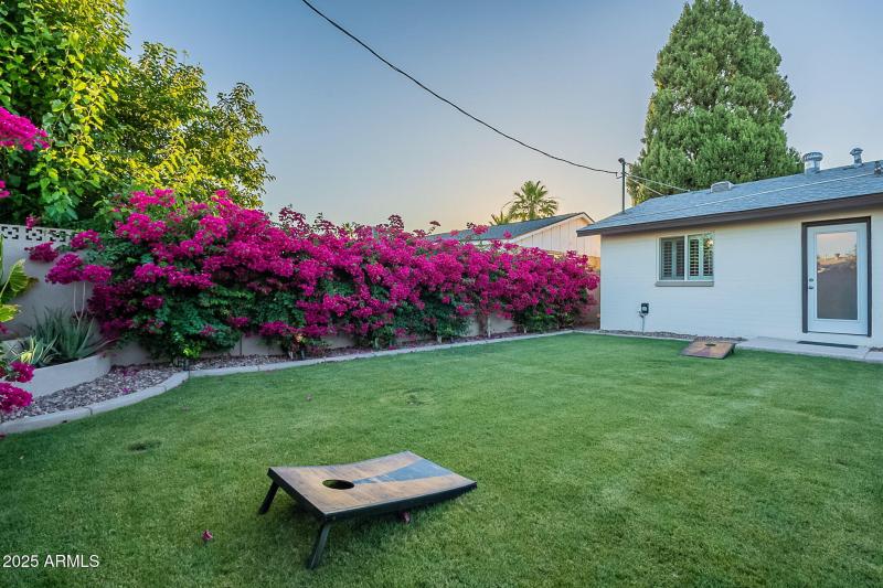 53-web-or-mls-Cypress-53