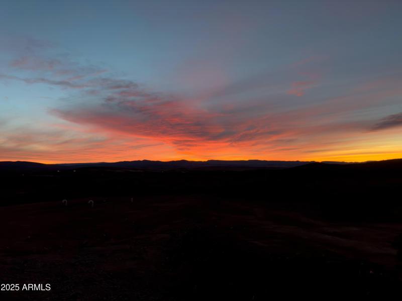 20250105_070614_IMG_6423