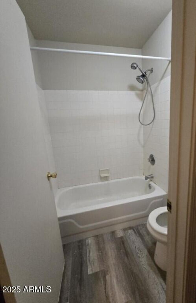 master tub shower and toilet