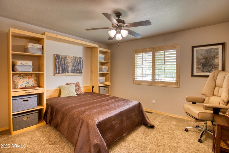 Paxmanphoto_PAX_8137