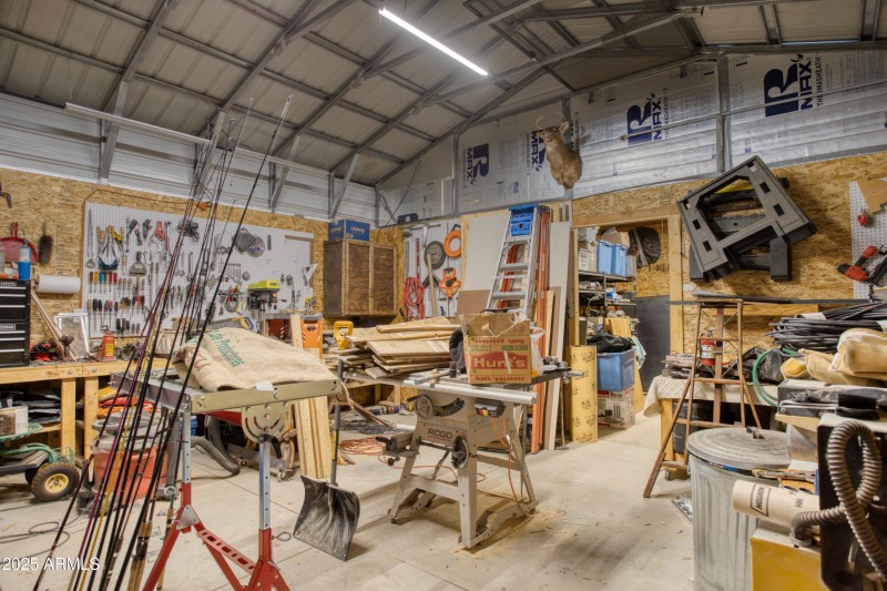 Paxmanphoto_PAX_8198