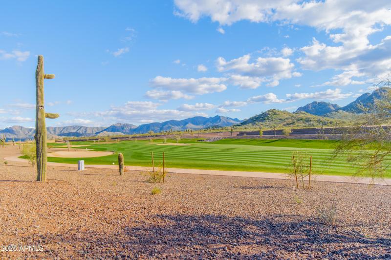 20190219-DSC07382-HDR