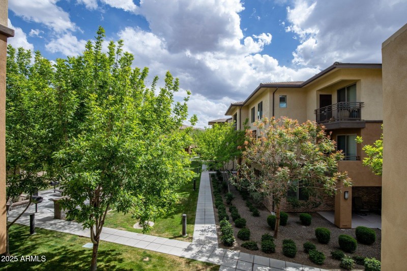 26-web-or-mls-_TMR1912