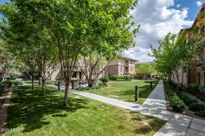 30-web-or-mls-_TMR1958