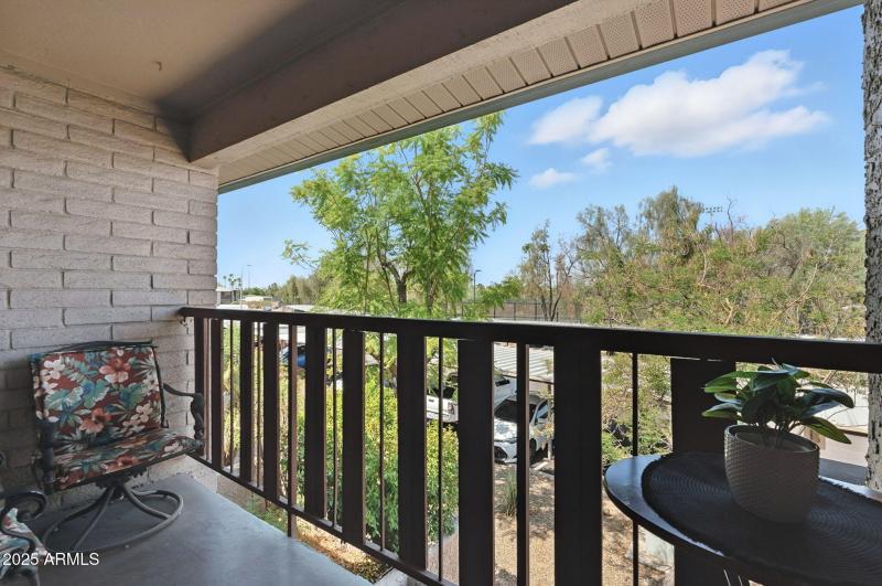 LOOK AT THE GREENERY!!!!