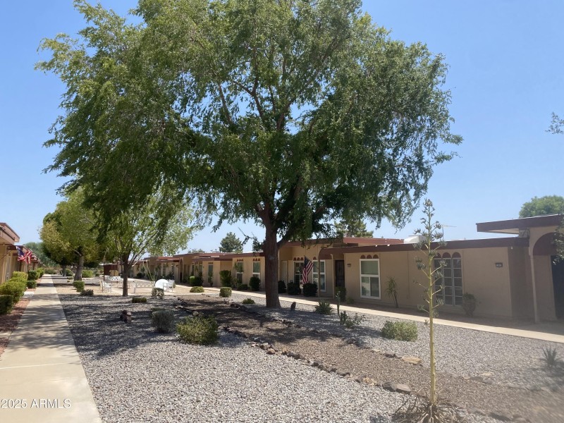 Tree Lined Courtyard