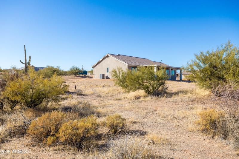 Natural Desert Landscaping