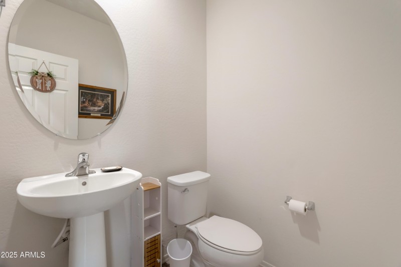 Bright Downstairs Bathroom