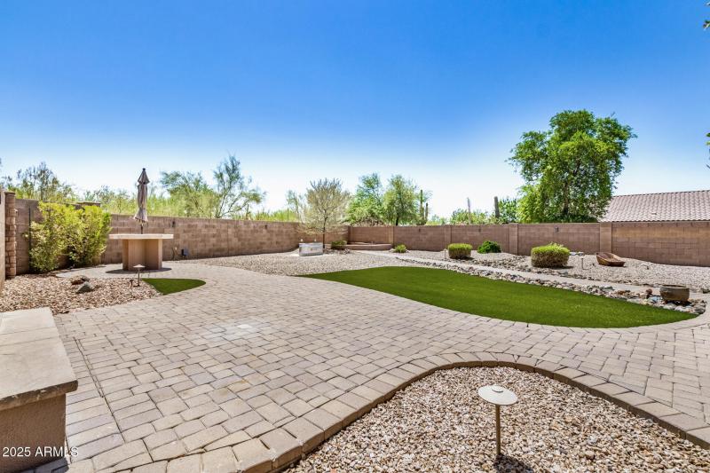 42 - Desert Honeysuckle