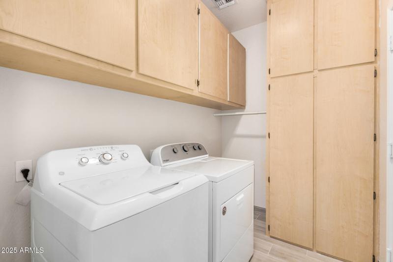 38 - Desert Honeysuckle