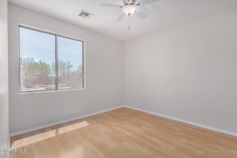 33 - Desert Honeysuckle