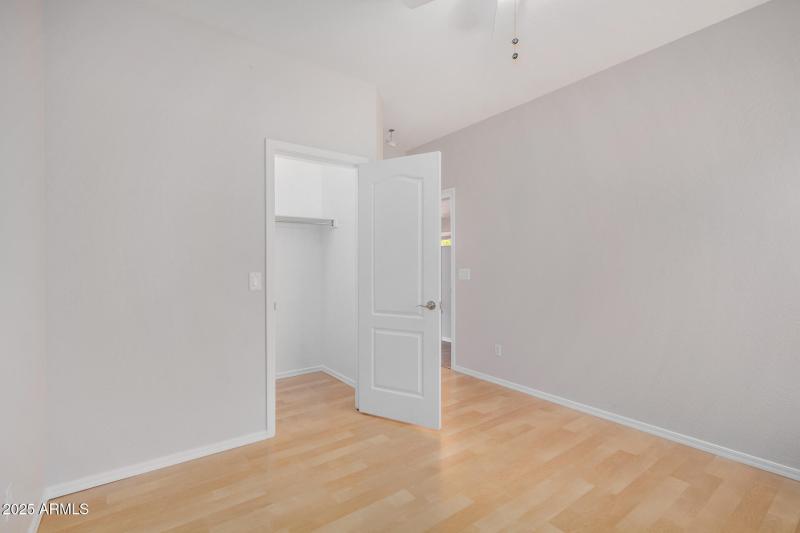 30 - Desert Honeysuckle