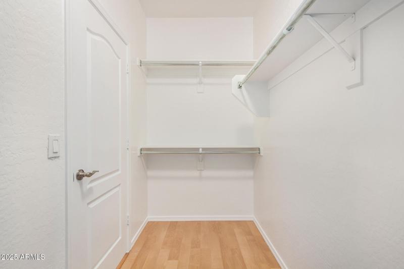 28 - Desert Honeysuckle