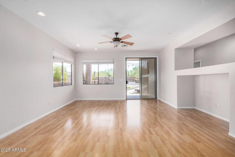 14 - Desert Honeysuckle