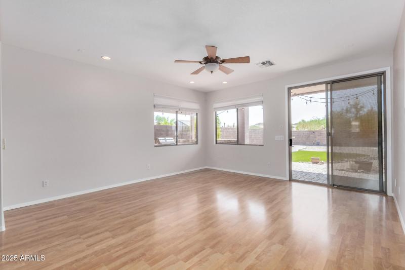 13 - Desert Honeysuckle