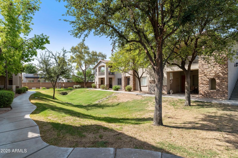 2155 N-002-024-DLB 2899-MLS_Size