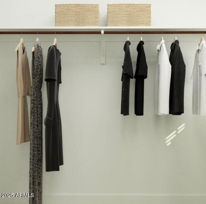 Owners Walk in Closet