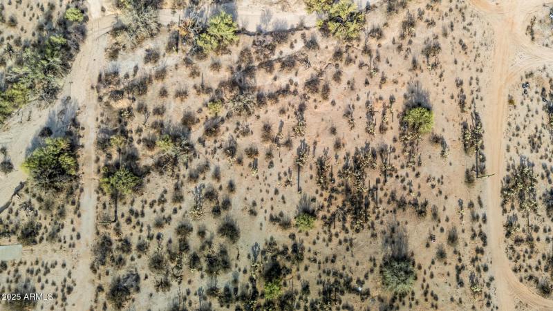 10 - TBD 000 206-06-030B