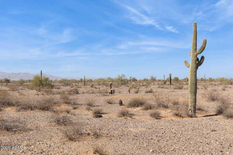 20250227023432089114000000-o