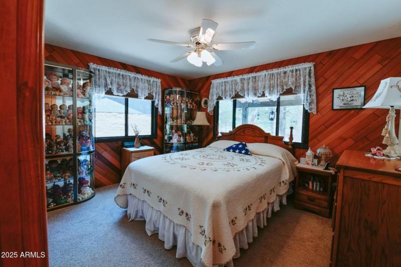 E downstairs bedroom (2)