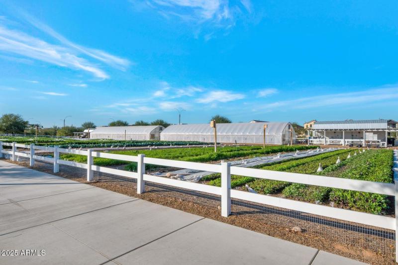 10718 E Lumiere Ave-large-051-045-10718