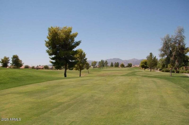 20080908231723132108000000-o