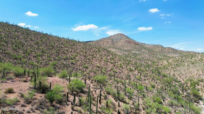 Starpass 6 acre drone pic 4